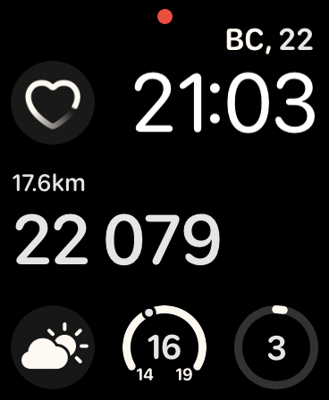 22000 шагов