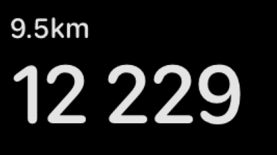 12200шагов