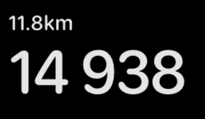 14900шагов