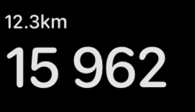 15900 шагов