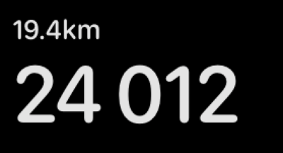 24000шагов